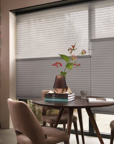 Plissés en Duette® shades